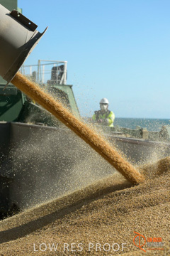 July 2015 / SHIP_LOADING_WALLAROO_043_150724