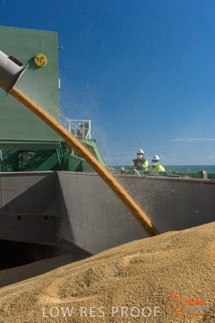 July 2015 / SHIP_LOADING_WALLAROO_050_150724