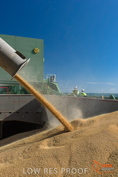 July 2015 / SHIP_LOADING_WALLAROO_051_150724