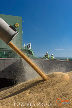 July 2015 / SHIP_LOADING_WALLAROO_057_150724