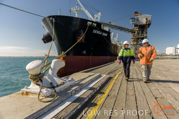 July 2015 / SHIP_LOADING_WALLAROO_109_150724