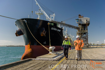 July 2015 / SHIP_LOADING_WALLAROO_114_150724