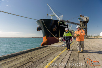 July 2015 / SHIP_LOADING_WALLAROO_117_150724