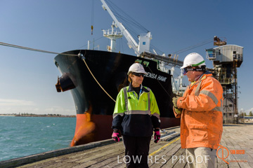 July 2015 / SHIP_LOADING_WALLAROO_119_150724