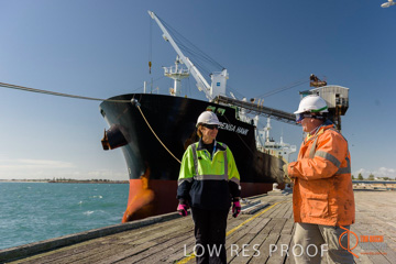 July 2015 / SHIP_LOADING_WALLAROO_122_150724
