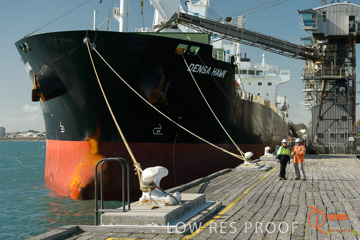 July 2015 / SHIP_LOADING_WALLAROO_124_150724