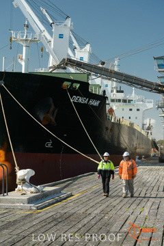 July 2015 / SHIP_LOADING_WALLAROO_125_150724