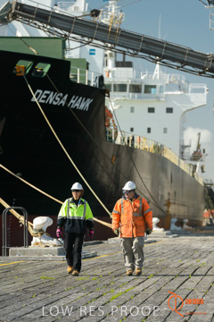 July 2015 / SHIP_LOADING_WALLAROO_126_150724