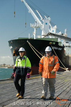 July 2015 / SHIP_LOADING_WALLAROO_130_150724