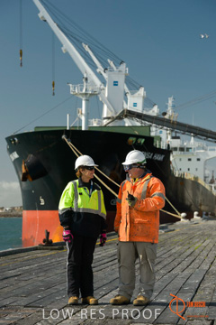 July 2015 / SHIP_LOADING_WALLAROO_136_150724