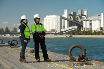 July 2015 / SHIP_LOADING_WALLAROO_140_150724