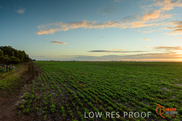 July 2015 / YOUNG_CROP_006_150724