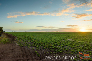 July 2015 / YOUNG_CROP_008_150724