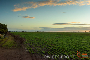 July 2015 / YOUNG_CROP_010_150724