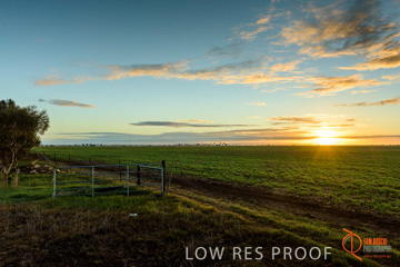 July 2015 / YOUNG_CROP_020_150724