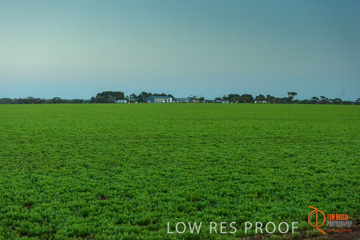 July 2015 / YOUNG_CROP_021_150724