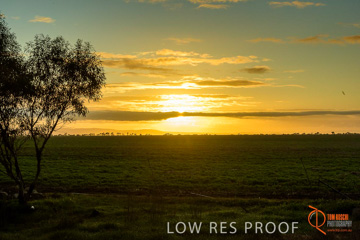 July 2015 / YOUNG_CROP_023_150724