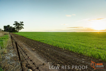 July 2015 / YOUNG_CROP_037_150724