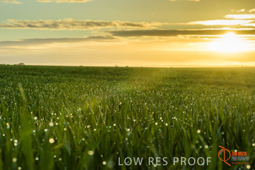 July 2015 / YOUNG_CROP_068_150724