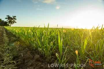 July 2015 / YOUNG_CROP_106_150724