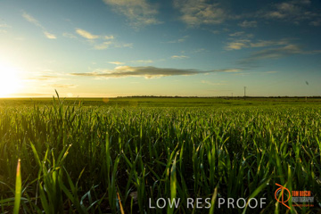 July 2015 / YOUNG_CROP_116_150724