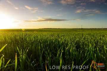 July 2015 / YOUNG_CROP_117_150724