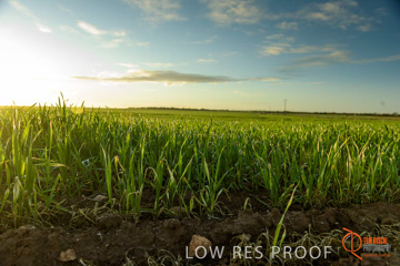 July 2015 / YOUNG_CROP_123_150724