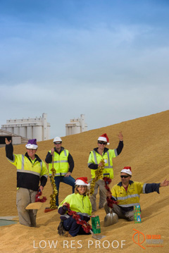 August 2015 / XMAS_TUMBY_002_150805