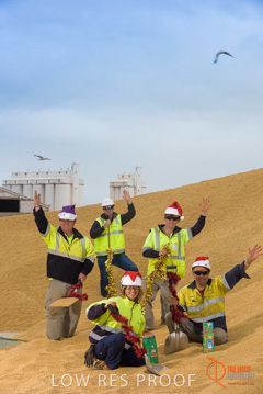 August 2015 / XMAS_TUMBY_006_150805