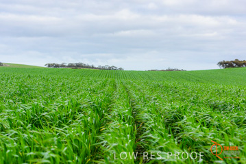 August 2015 / ROBERTS_AP_176_150805