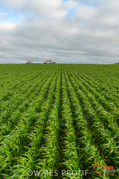 August 2015 / ROBERTS_AP_182_150805