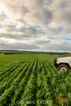 August 2015 / ROBERTS_AP_204_150805