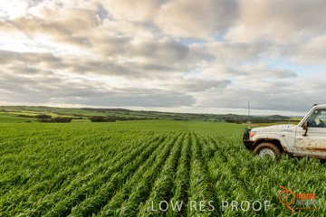 August 2015 / ROBERTS_AP_205_150805