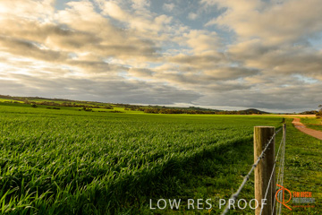 August 2015 / ROBERTS_AP_221_150805