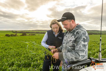 August 2015 / GLENCORE_007_150805