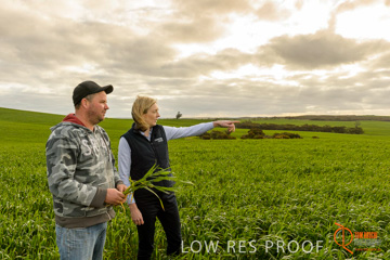 August 2015 / GLENCORE_013_150805