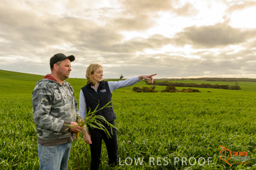 August 2015 / GLENCORE_014_150805