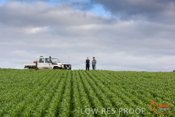 August 2015 / GLENCORE_015_150805