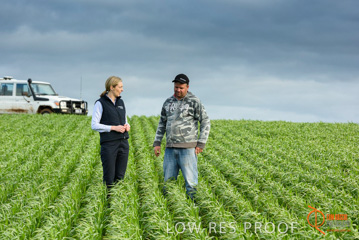 August 2015 / GLENCORE_029_150805