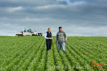 August 2015 / GLENCORE_031_150805