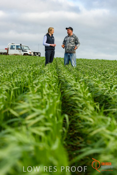 August 2015 / GLENCORE_037_150805