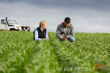 August 2015 / GLENCORE_044_150805