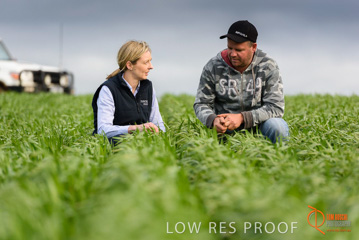 August 2015 / GLENCORE_052_150805