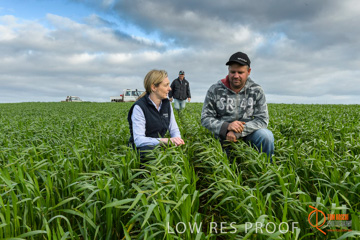 August 2015 / GLENCORE_056_150805