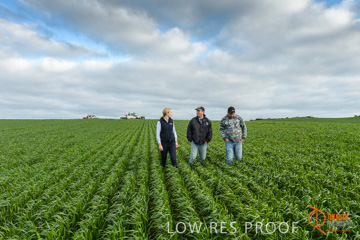 August 2015 / GLENCORE_060_150805