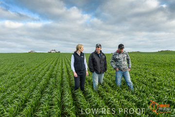 August 2015 / GLENCORE_061_150805