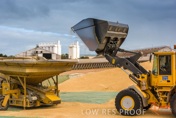 August 2015 / WHS_BUNKER_011_150805