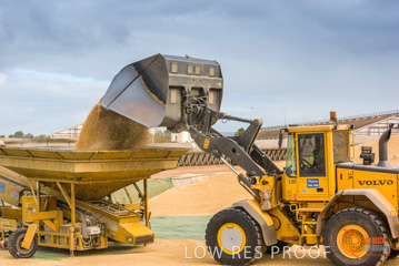 August 2015 / WHS_BUNKER_012_150805