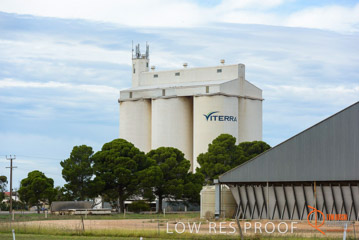 VITERRA / COWELL_0009_(160420)