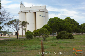 VITERRA / COWELL_0010_(160420)